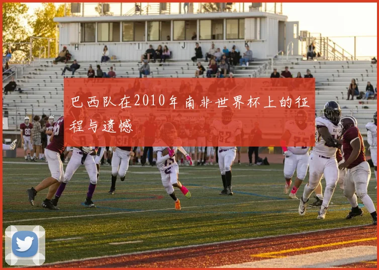 巴西队在2010年南非世界杯上的征程与遗憾