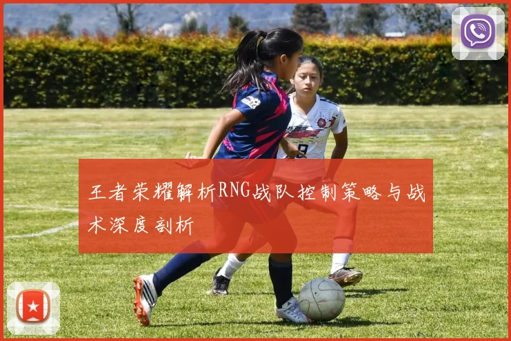 王者荣耀解析RNG战队控制策略与战术深度剖析