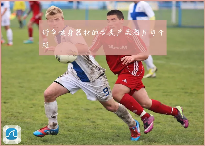 舒华健身器材的各类产品图片与介绍