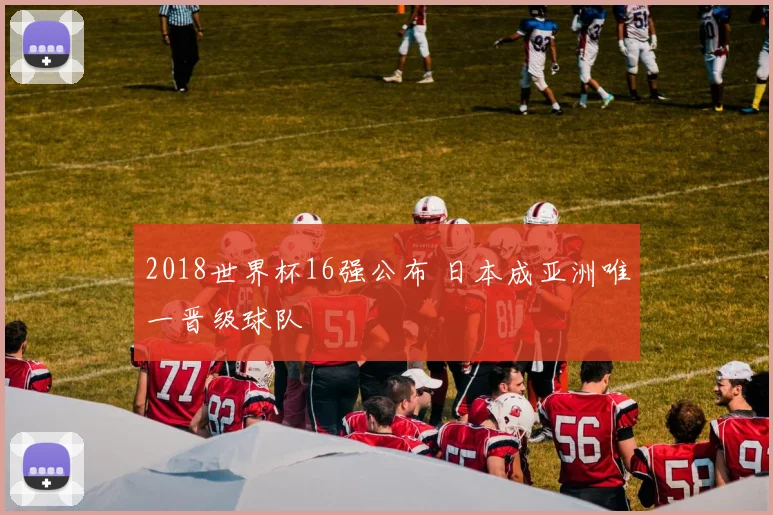 2018世界杯16强公布 日本成亚洲唯一晋级球队